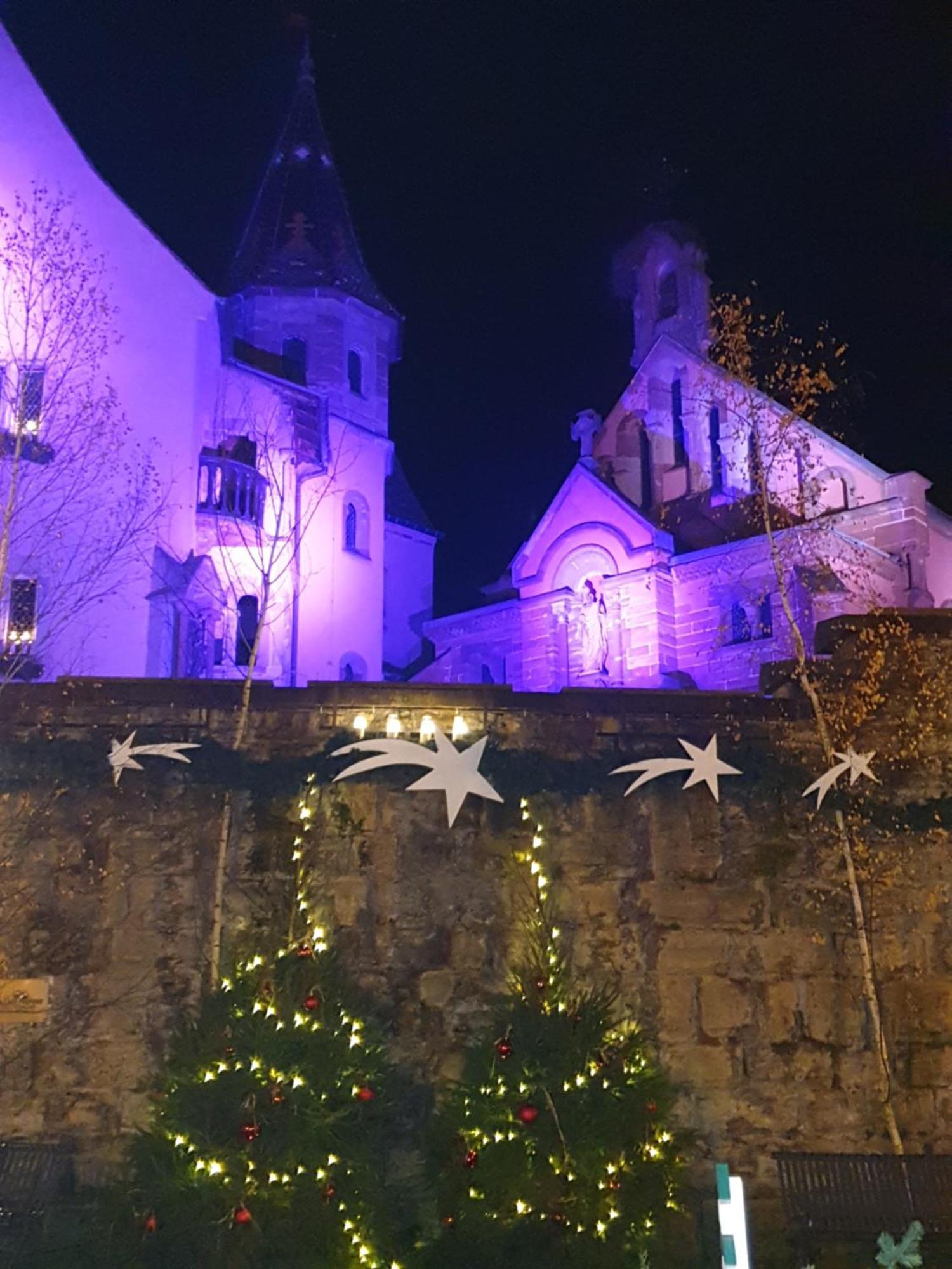Fleur De Vigne Διαμέρισμα Eguisheim Δωμάτιο φωτογραφία