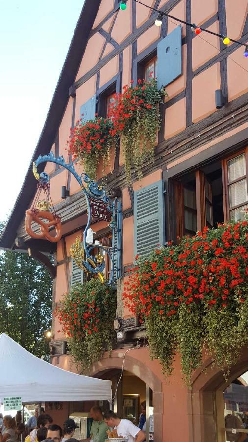 Fleur De Vigne Διαμέρισμα Eguisheim Εξωτερικό φωτογραφία