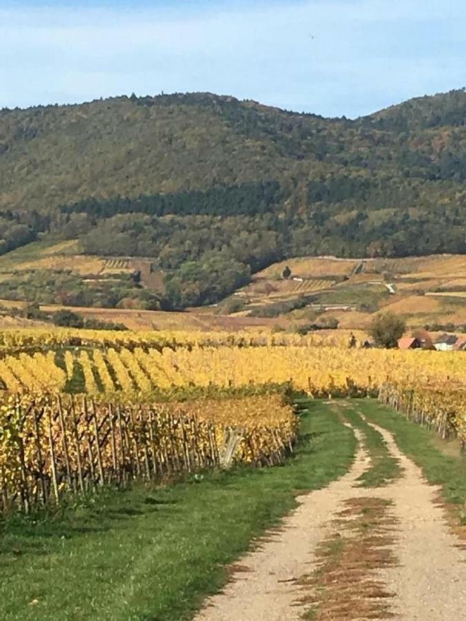 Fleur De Vigne Διαμέρισμα Eguisheim Εξωτερικό φωτογραφία
