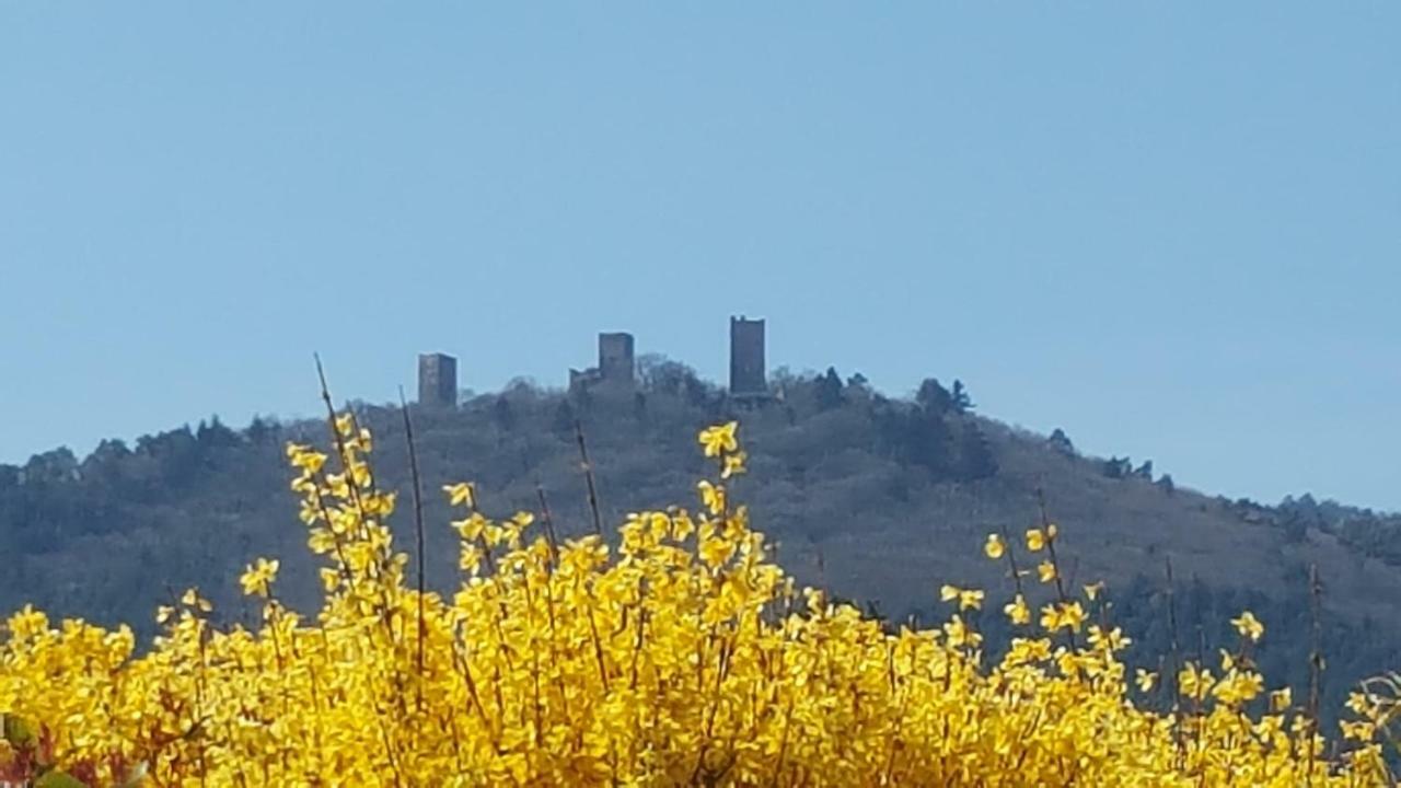 Fleur De Vigne Διαμέρισμα Eguisheim Εξωτερικό φωτογραφία