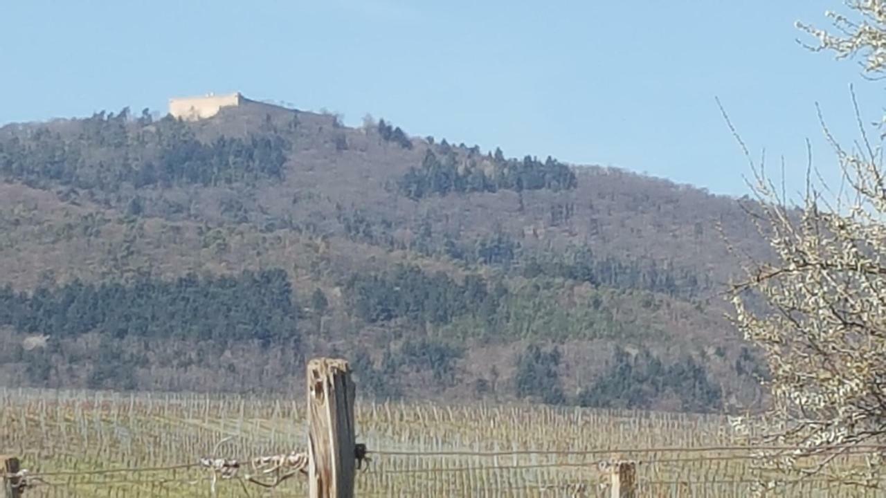 Fleur De Vigne Διαμέρισμα Eguisheim Εξωτερικό φωτογραφία