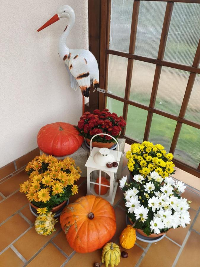 Fleur De Vigne Διαμέρισμα Eguisheim Εξωτερικό φωτογραφία